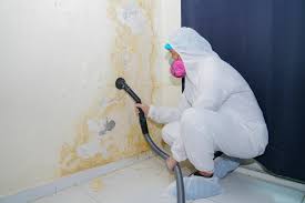 Best Commercial Mold Inspection  in Georgetown, KY